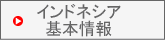 �C���h�l�V�A��{���